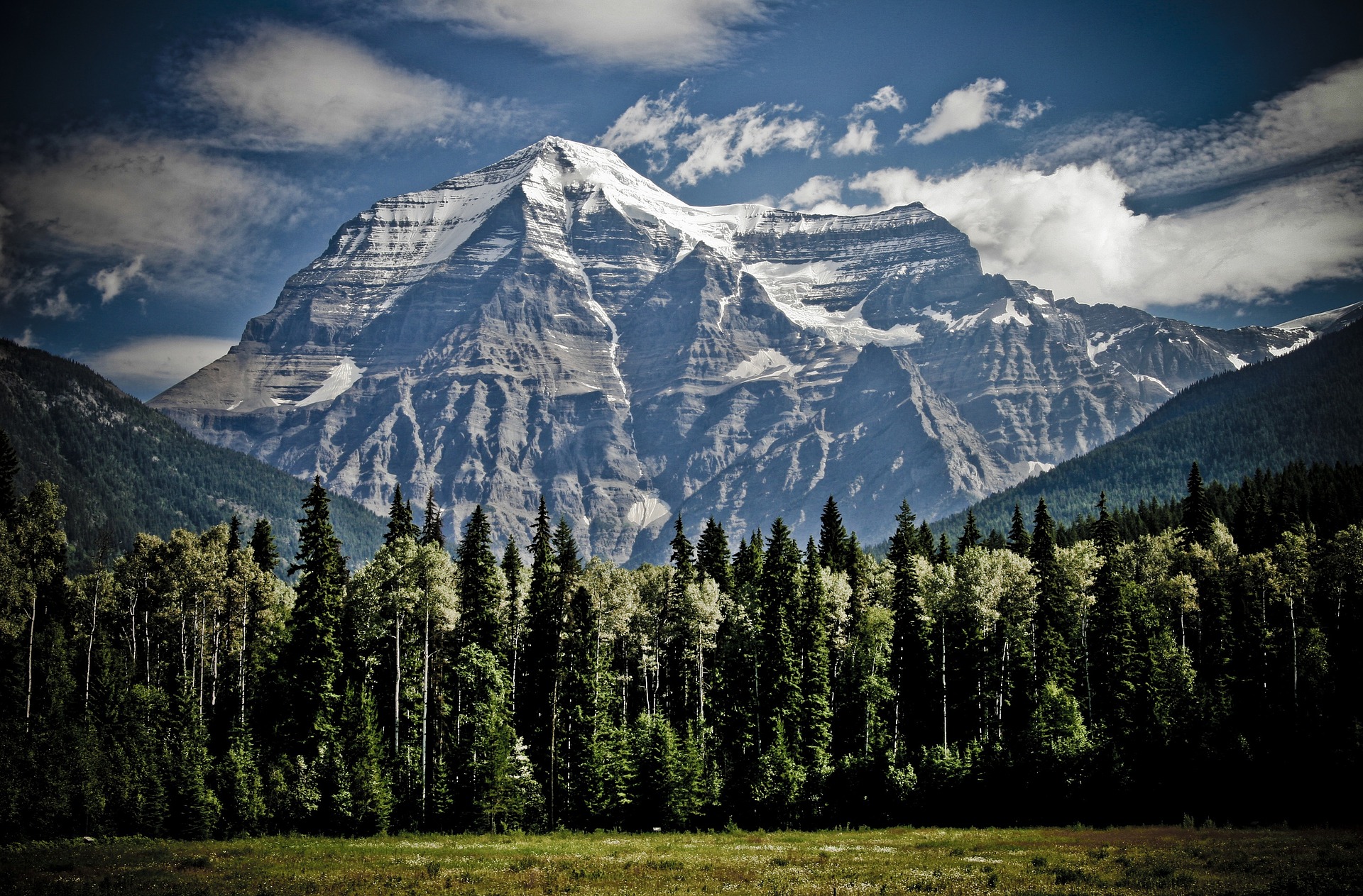 cu-les-son-los-idiomas-oficiales-de-canad-tradupla