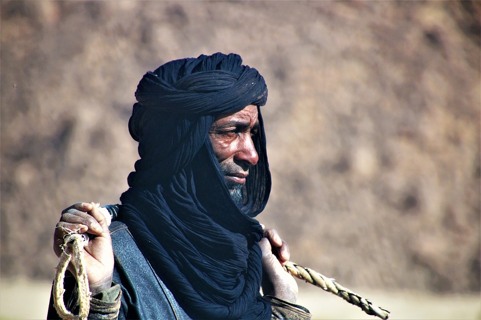 ¿Cuál es el idioma oficial de Argelia? ¿Cuántos idiomas se habla?